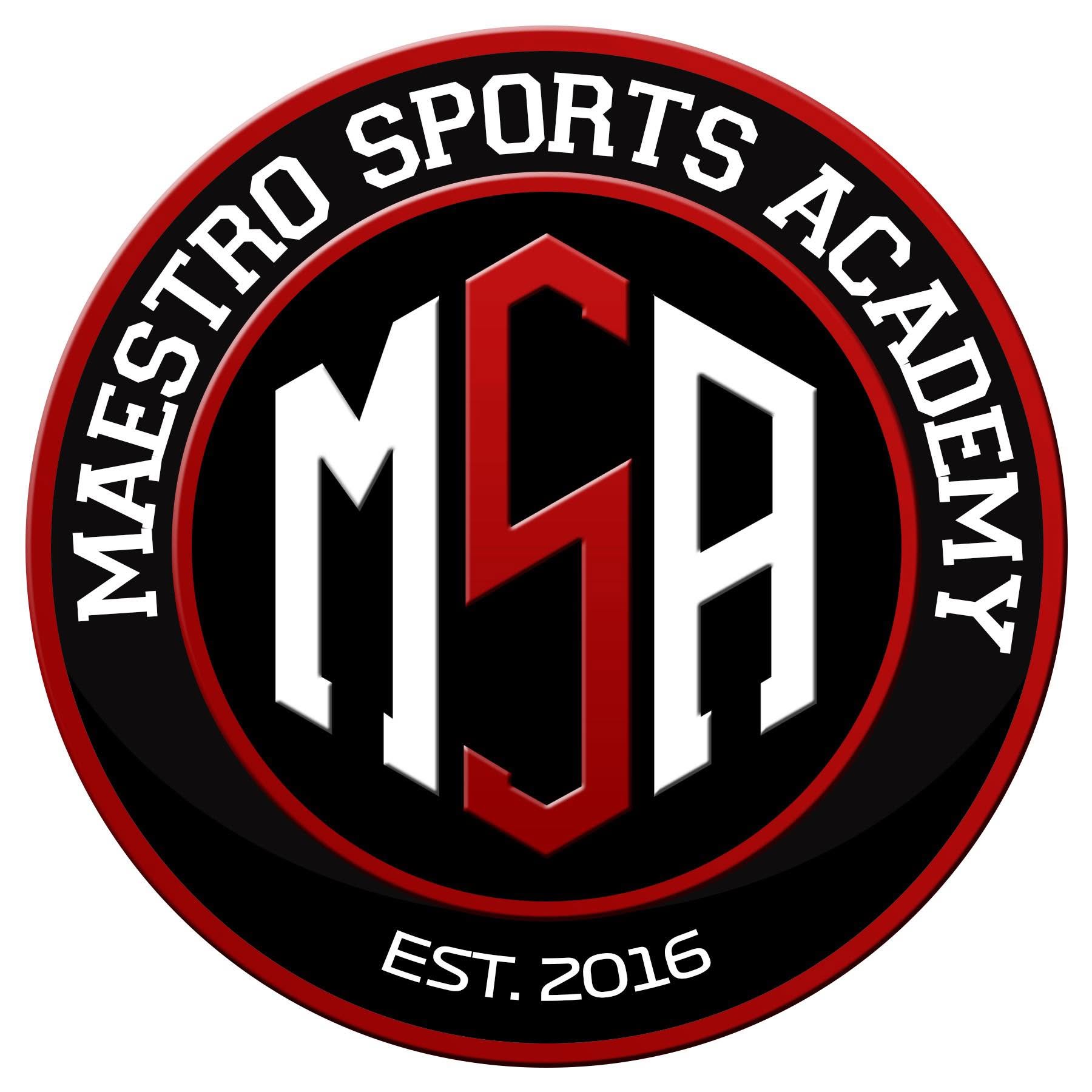 Maestro Sports Academy